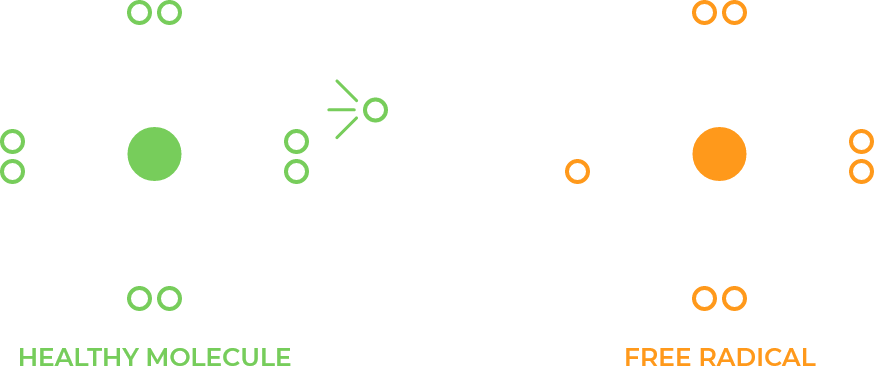 Molecule diagram